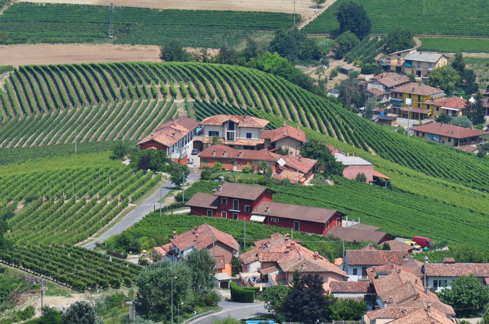 Herein I ruminate on the joy of wine and introspection, or . . .”Who in the world am I?  Ah, that’s the great puzzle!” — Lewis Carroll, Alice in Wonderland