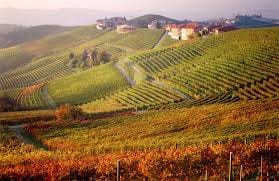 barolo