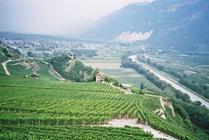 France's Rhone Valley