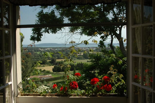 Window