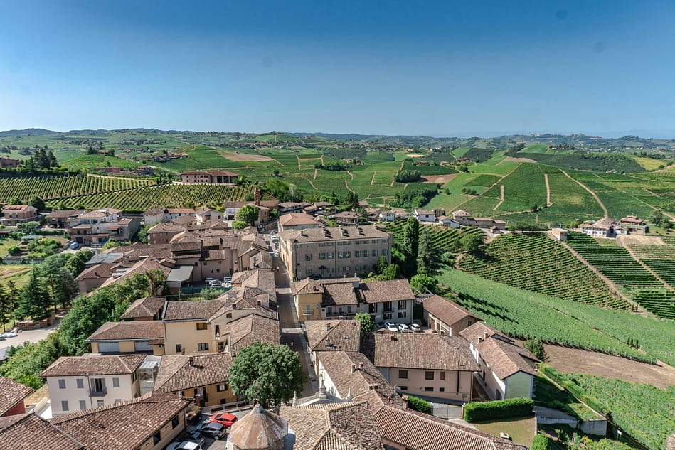 Piedmont vineyard